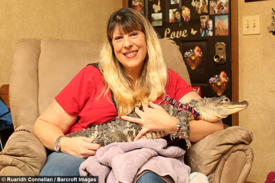 Mujer adopta una cocodrilo y la cuida como a una hija