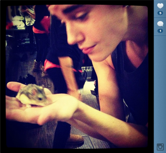 #RIPpac. Muere el hamster de Justin Bieber