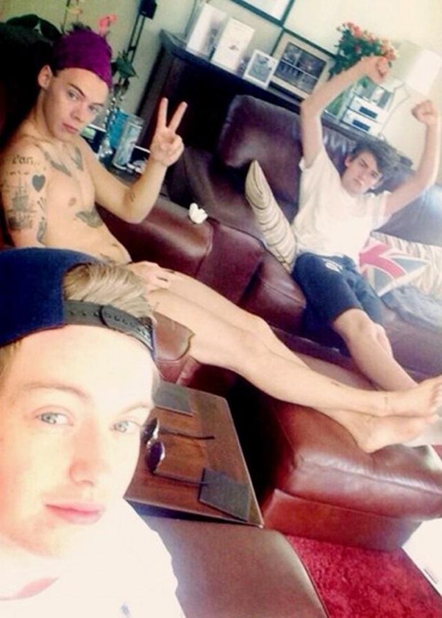 Harry Styles desnudo