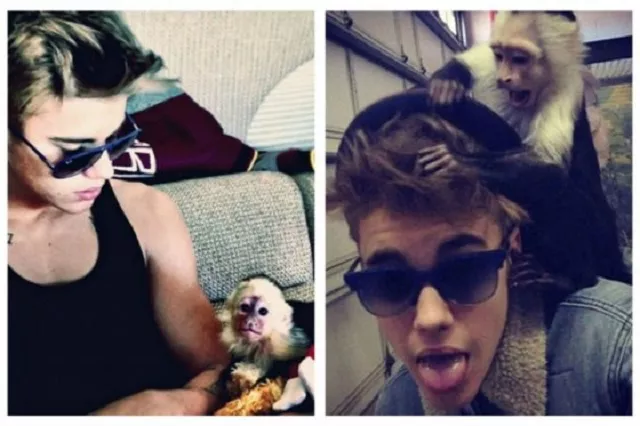 Justin Bieber paga la multa por abandonar a su mono en Alemania