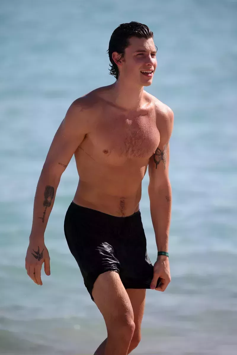 Las fotos más calientes de Shawn Mendes te harán sonrojar: Fotos sin camiseta