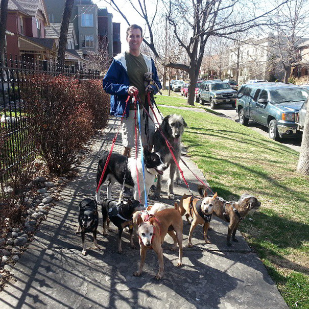 Hombre adopta a perros ancianos que nadie adopta