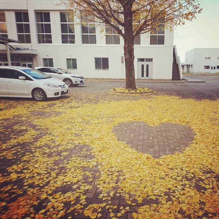 Arte con hojas caídas en Japón
