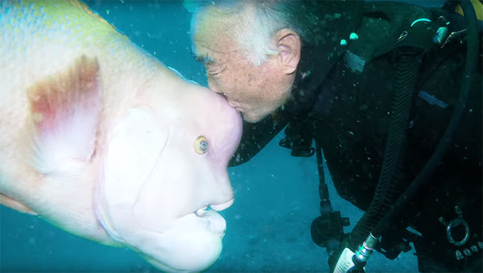 Un hombre y un pez son amigos durante 25 años