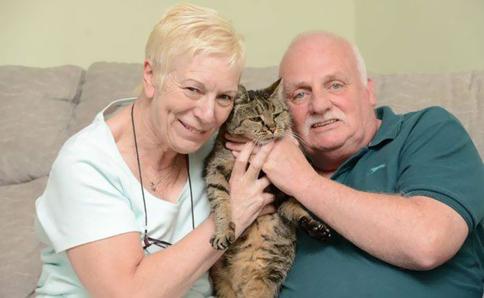 El gato más viejo cumple 31 años