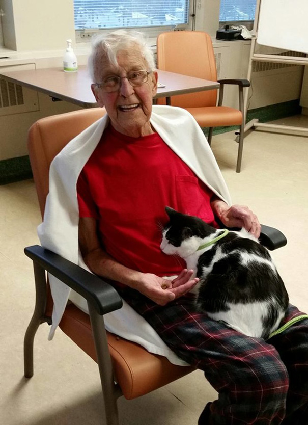 Un hospital permite la visita de mascotas