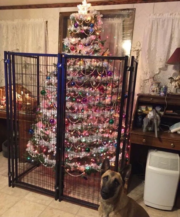 Dueños protegiendo su árbol de Navidad de sus mascotas 