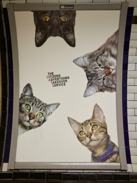 Estación de metro sustituye anuncios por gatos