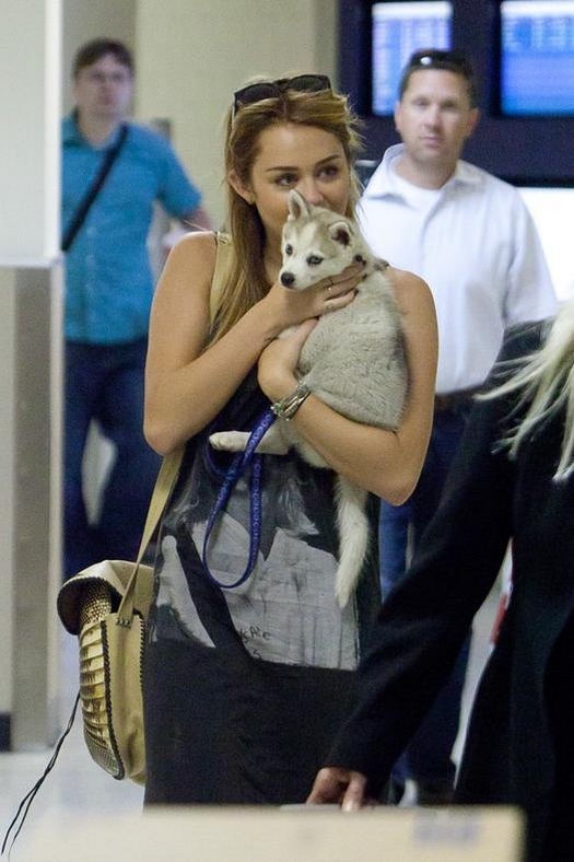 Miley y Floyd (1/4)