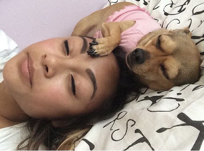Tendencia posar con la expresión de tu mascota