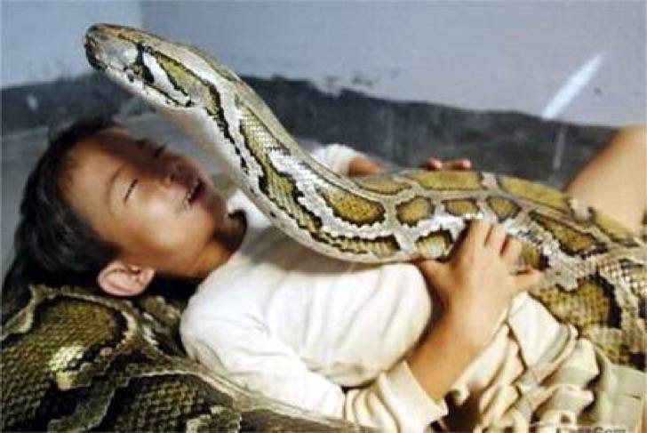 Niño y anaconda se hacen amigos