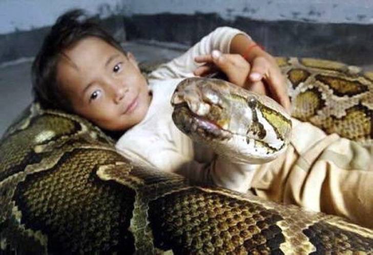 Niño y anaconda se hacen amigos