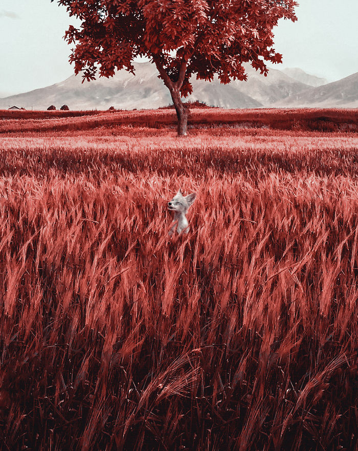 Paisajes vistos con los ojos de un daltónico 