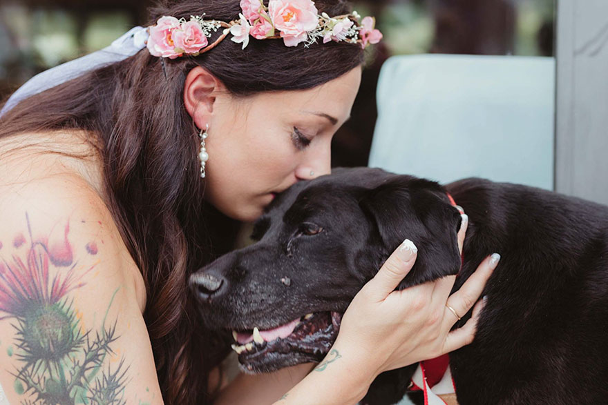 Perro moribundo va a la boda de sus dueños