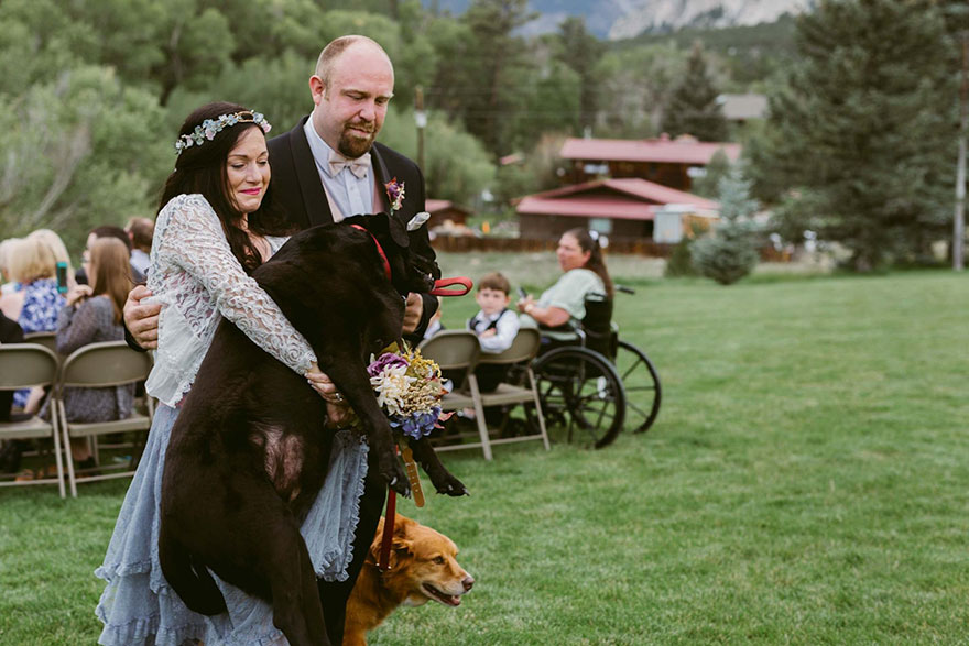 Perro moribundo va a la boda de sus dueños