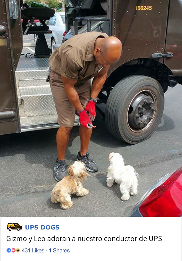 Perros saludando a los repartidores de UPS