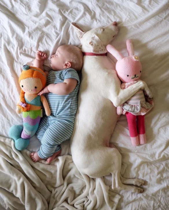 Bebé y sus mascotas durmiendo la siesta