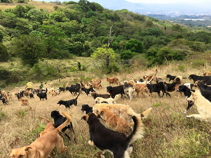Territorio de Zaguates, refugio en Costa Rica