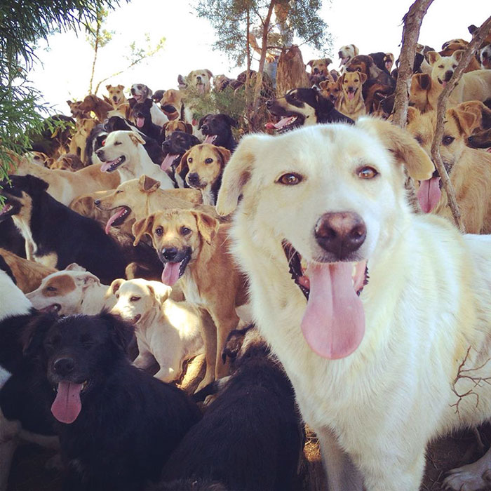 Territorio de Zaguates, refugio en Costa Rica