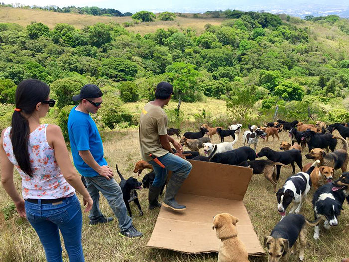 Territorio de Zaguates, refugio en Costa Rica