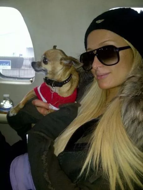 ¡Paris Hilton y las vacaciones de nunca acabar!