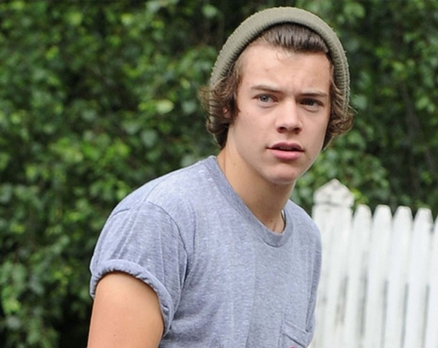 Harry Styles se quiere independizar Harry Styles se quiere independizar