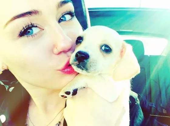 Miley Cyrus y su nuevo perro Bean