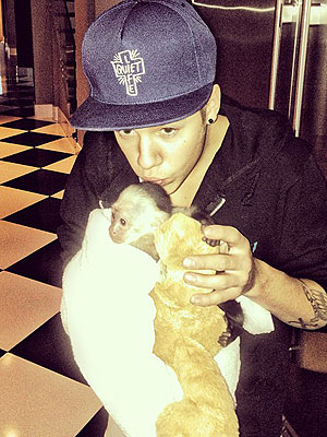 El mono de Justin Bieber arrestado El mono de Justin Bieber arrestado