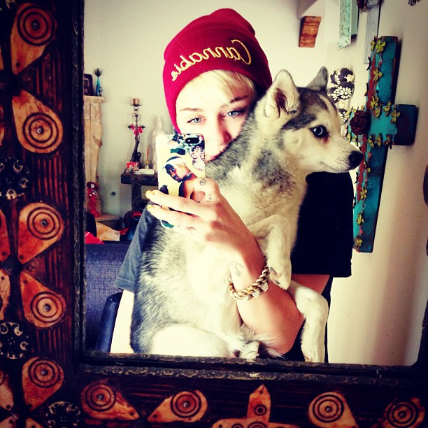 Miley Cyrus tiene cuenta oficial de Instagram Miley Cyrus tiene cuenta oficial de Instagram