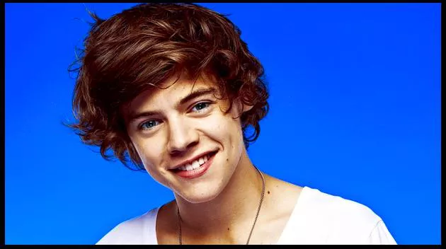 harry styles