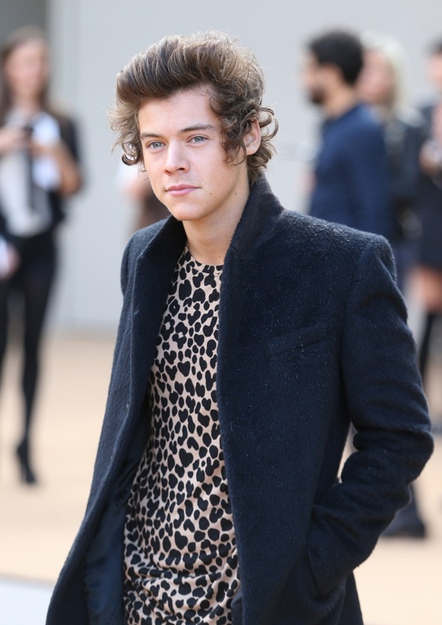 Harry Styles acude al desfile de Burberry Harry Styles acude al desfile de Burberry