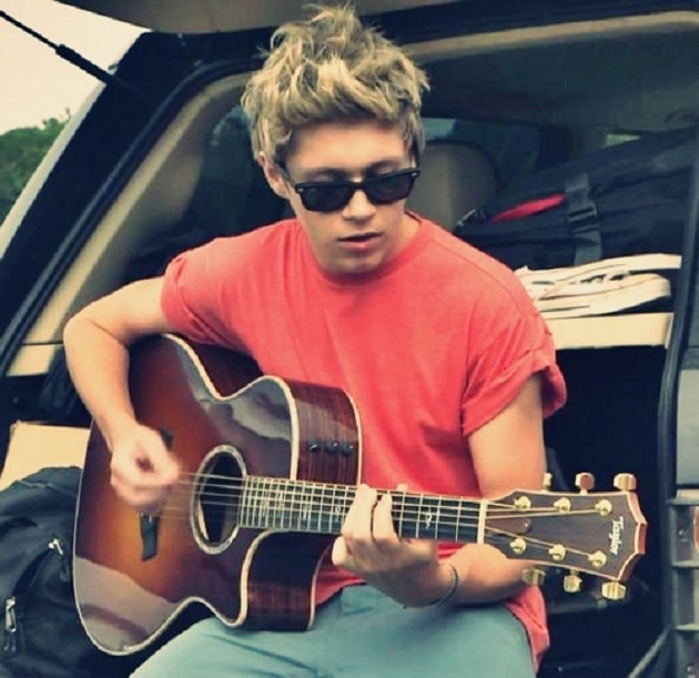 Niall Horan tocará la guitarra para 'Midnight Memories' Niall Horan tocará la guitarra para 'Midnight Memories'