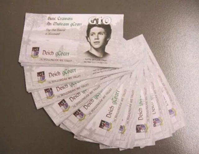 niall horan dinero