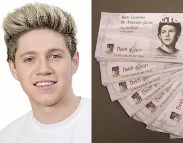 niall horan dinero