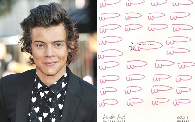 ¿Harry Styles es un aficionado a los productos eróticos?