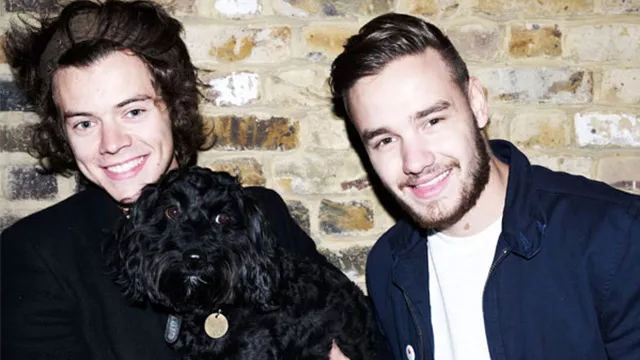 Liam Payne y Harry Styles hospitalizados