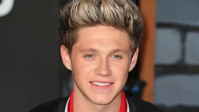 ¿Niall Horan besando a otro hombre?