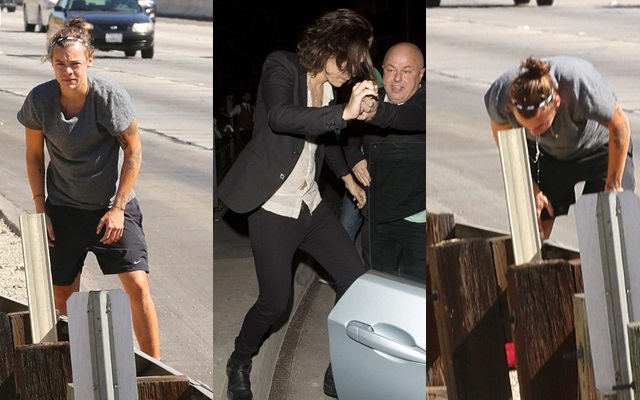 Paparazzi pilla a Harry Styles vomitando tras una noche de fiesta Paparazzi pilla a Harry Styles vomitando tras una noche de fiesta