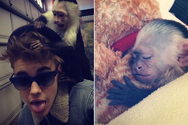 Justin Bieber, acusado de abandonar a su mono Molly