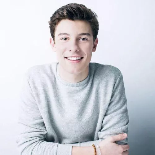 shawn mendes 