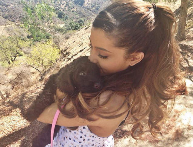 ¿Han arrestado a Ariana Grande por defender a sus perros?