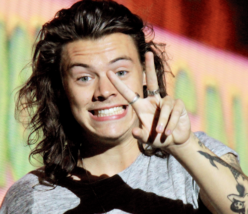 Una fan golpea a Harry Styles en la cara durante un concierto Una fan golpea a Harry Styles en la cara durante un concierto