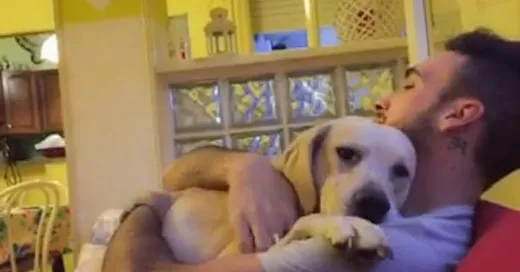 Este adorable perrito ruega perdón a su amo