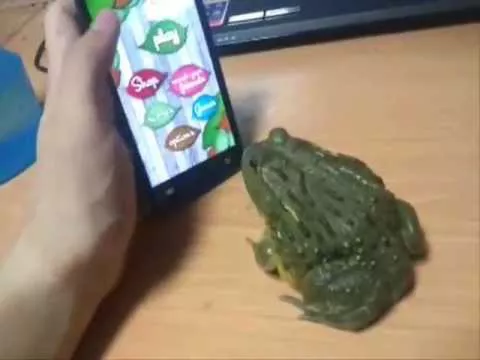 Este viral muestra como la rana se venga de su dueño