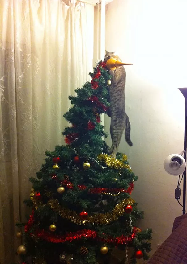 Adornos de Navidad felinos