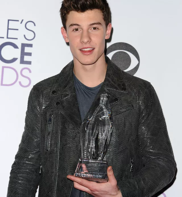 shawn mendes premios