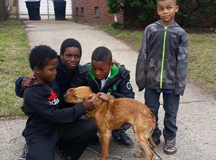 cuatro niños rescatan a una perra