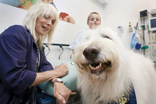 hospital permite visita de mascotas