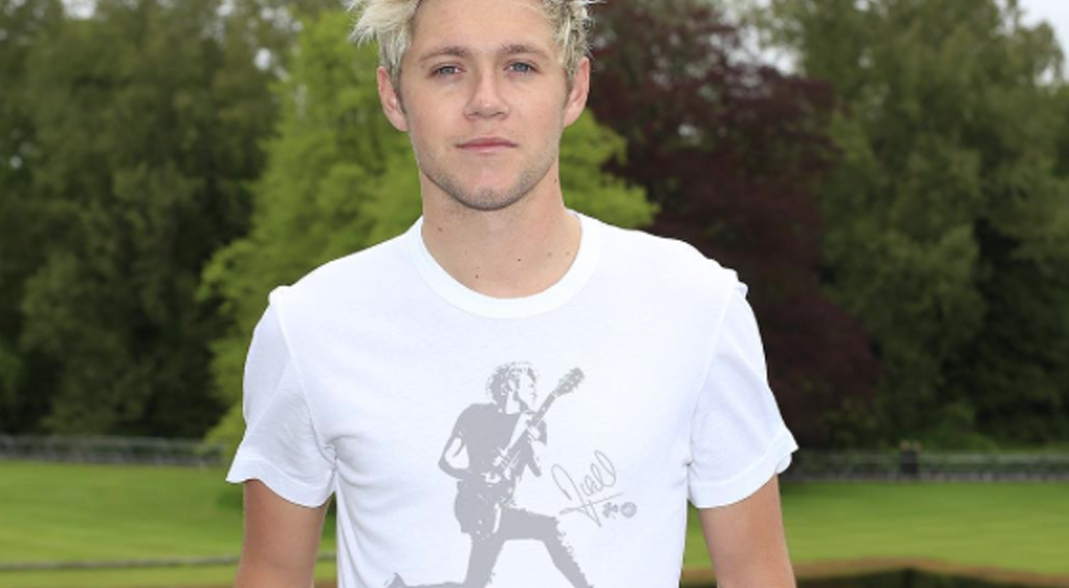 ¡Mira la camiseta solidaria que ha diseñado Niall Horan! ¡Mira la camiseta solidaria que ha diseñado Niall Horan!