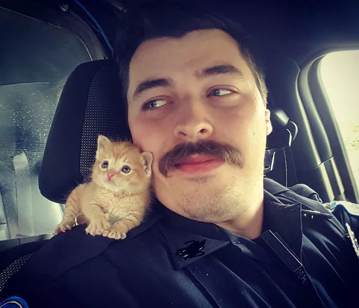 policia y gatito